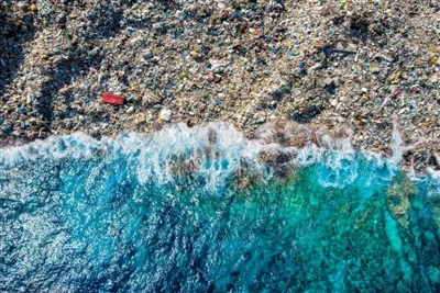 Politikadan Sektör Eylemine: Mikroplastik Kirliliğe Karşı Mücadele Neden Bekl...